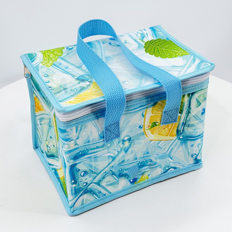 Bolsa más fresca aislada